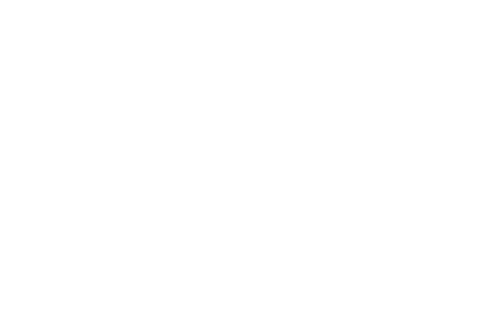 g95